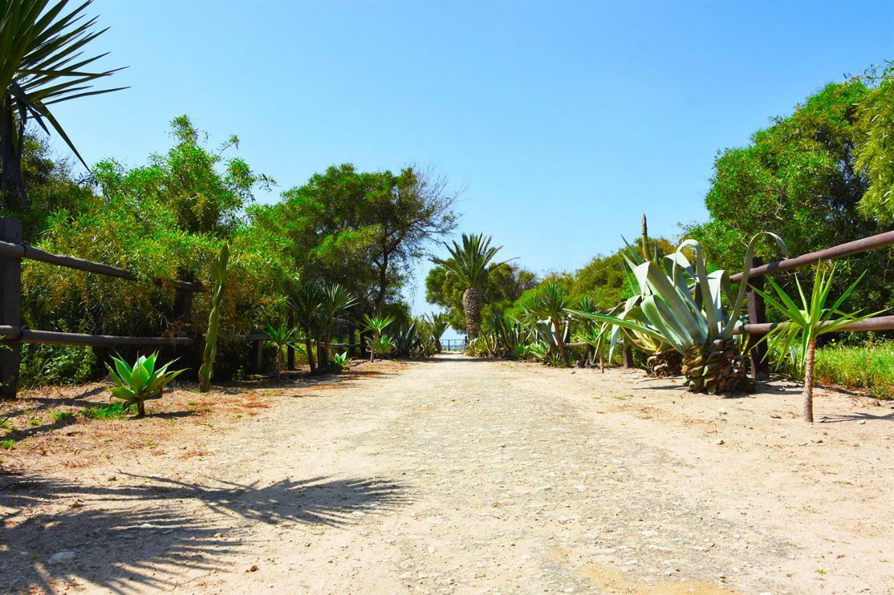 Casara Dos - 2 Dormitorios - Torre Con Acceso Privado A La Playa De Zahora Exteriör bild